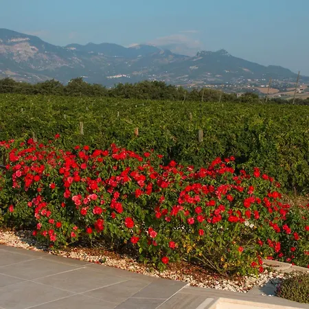 Tenuta Tre Gemme In Cantina - Tre Gemme Фермерский дом *