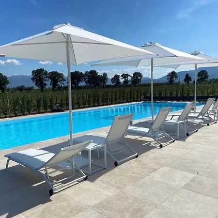 Tenuta Tre Gemme In Cantina - Tre Gemme * Catignano