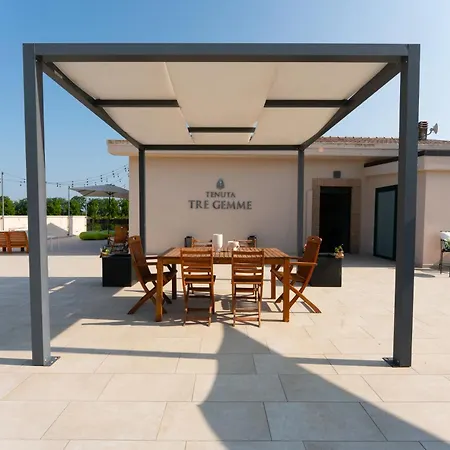 Tenuta Tre Gemme In Cantina - Tre Gemme