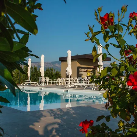 Tenuta Tre Gemme In Cantina - Tre Gemme *