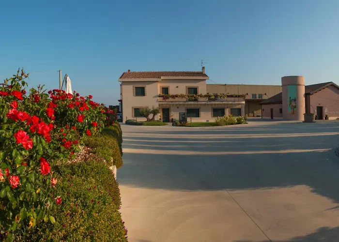 Tenuta Tre Gemme In Cantina - Tre Gemme Catignano