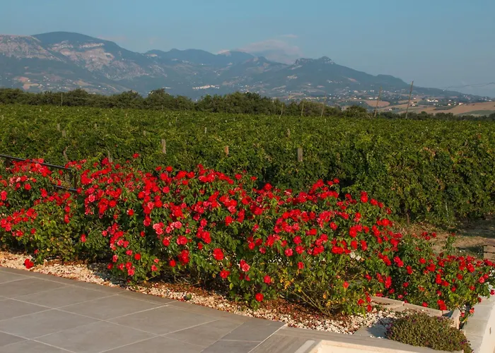 Tenuta Tre Gemme In Cantina - Tre Gemme Agroturismo *
